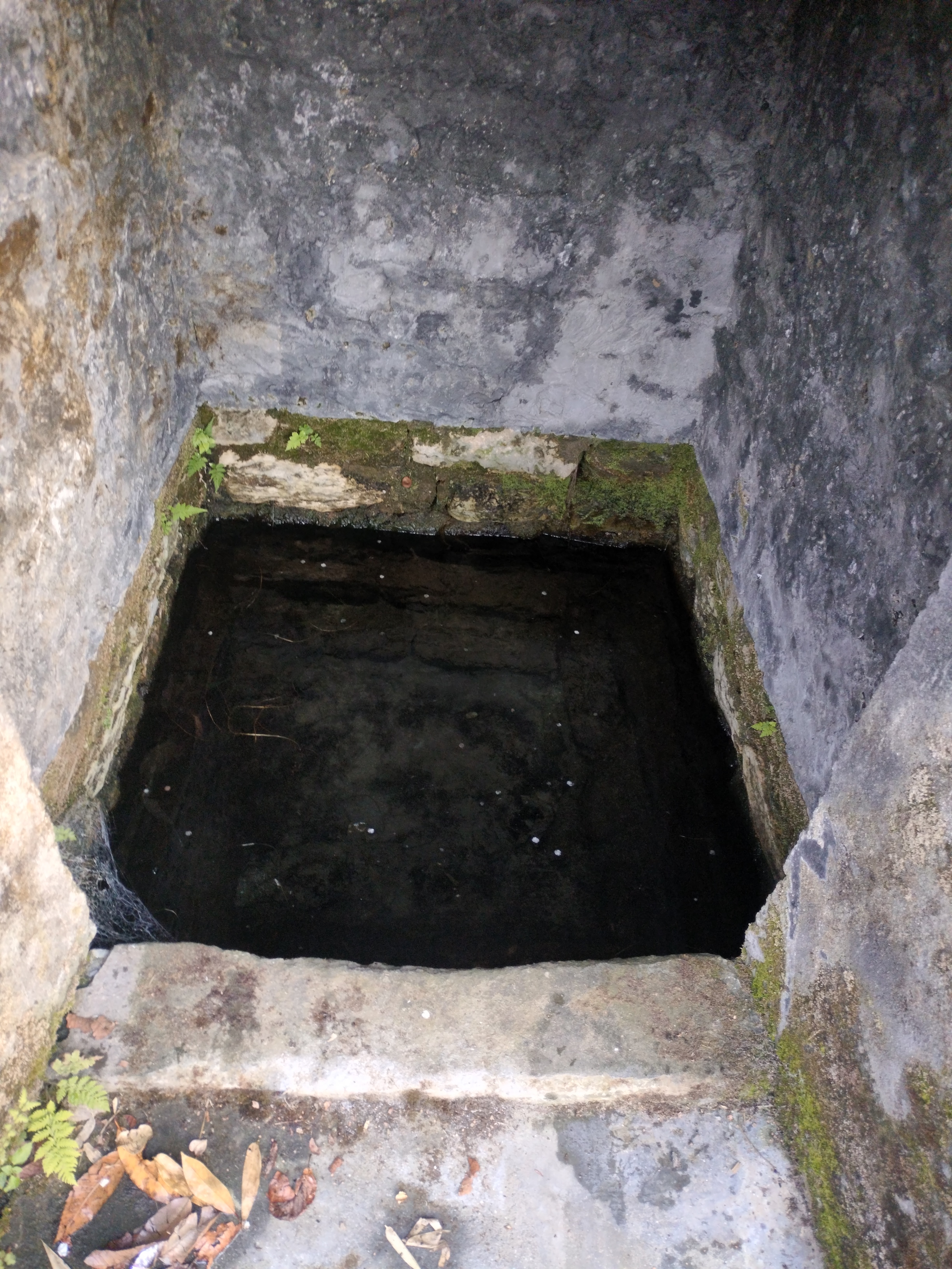 Water Source