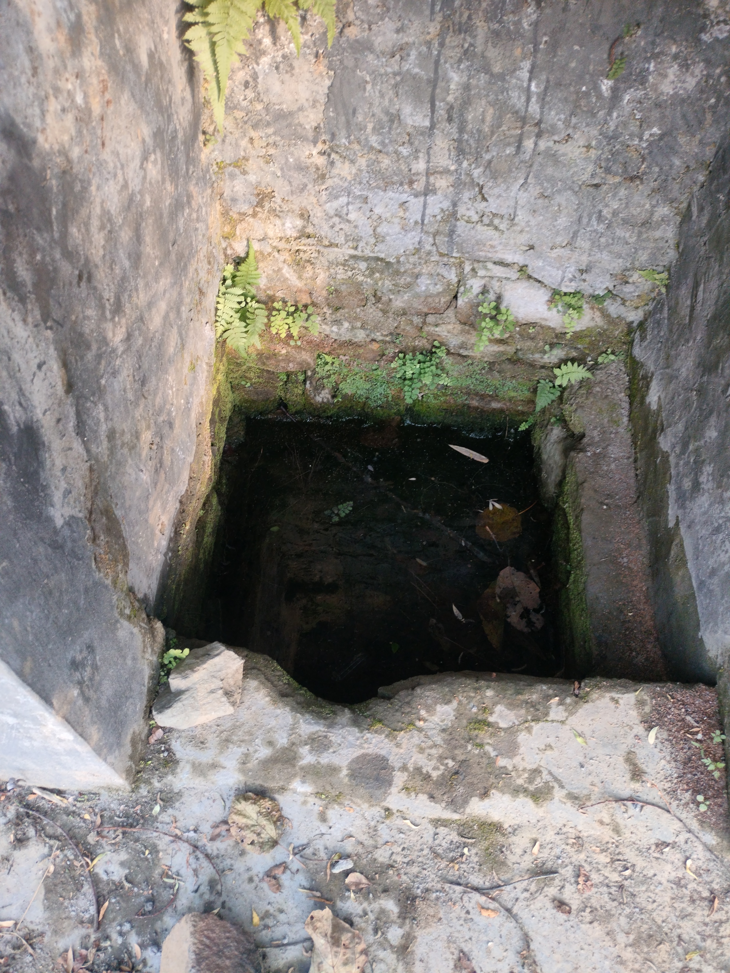 Water Source