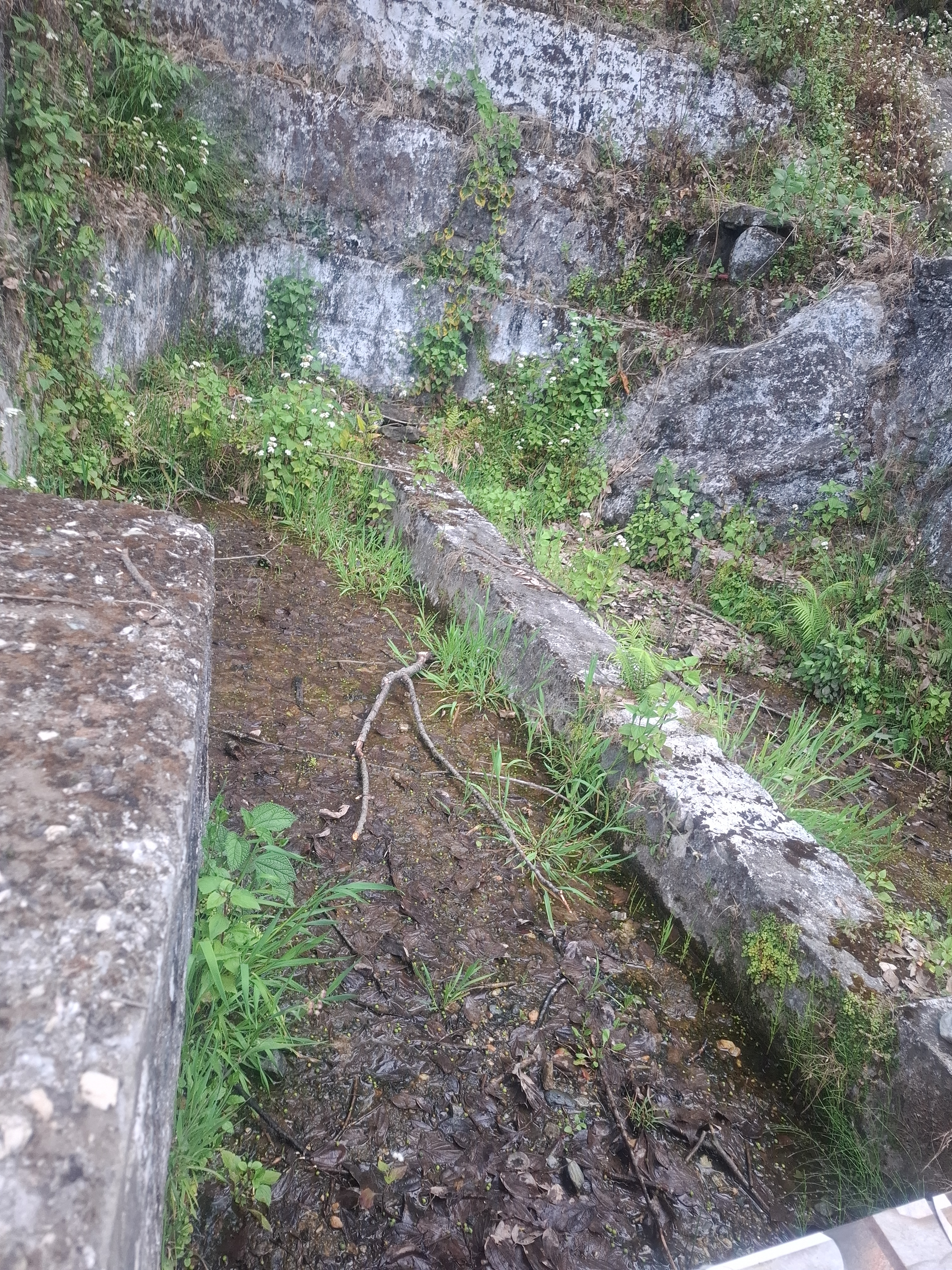 Water Source