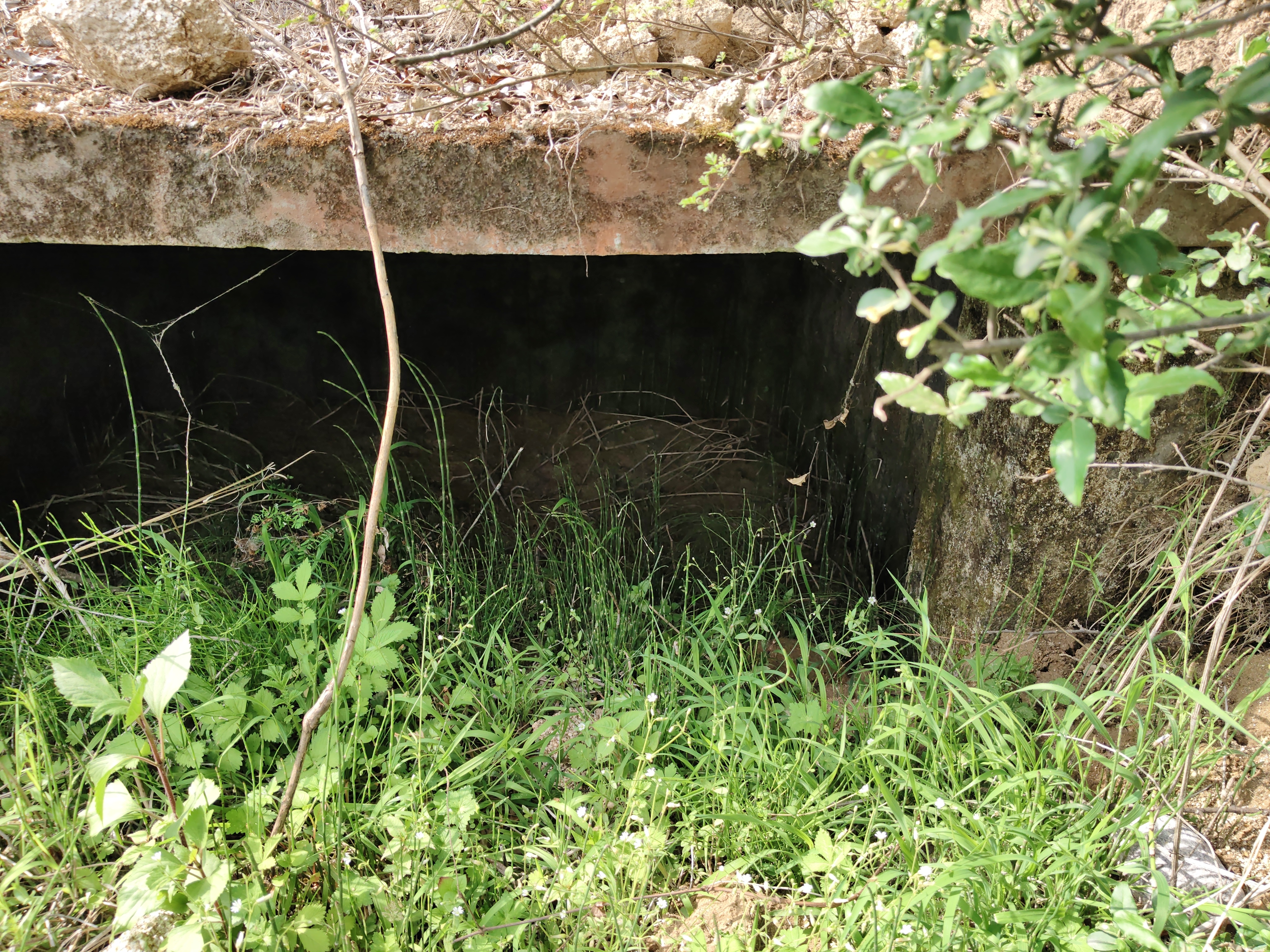 Water Source