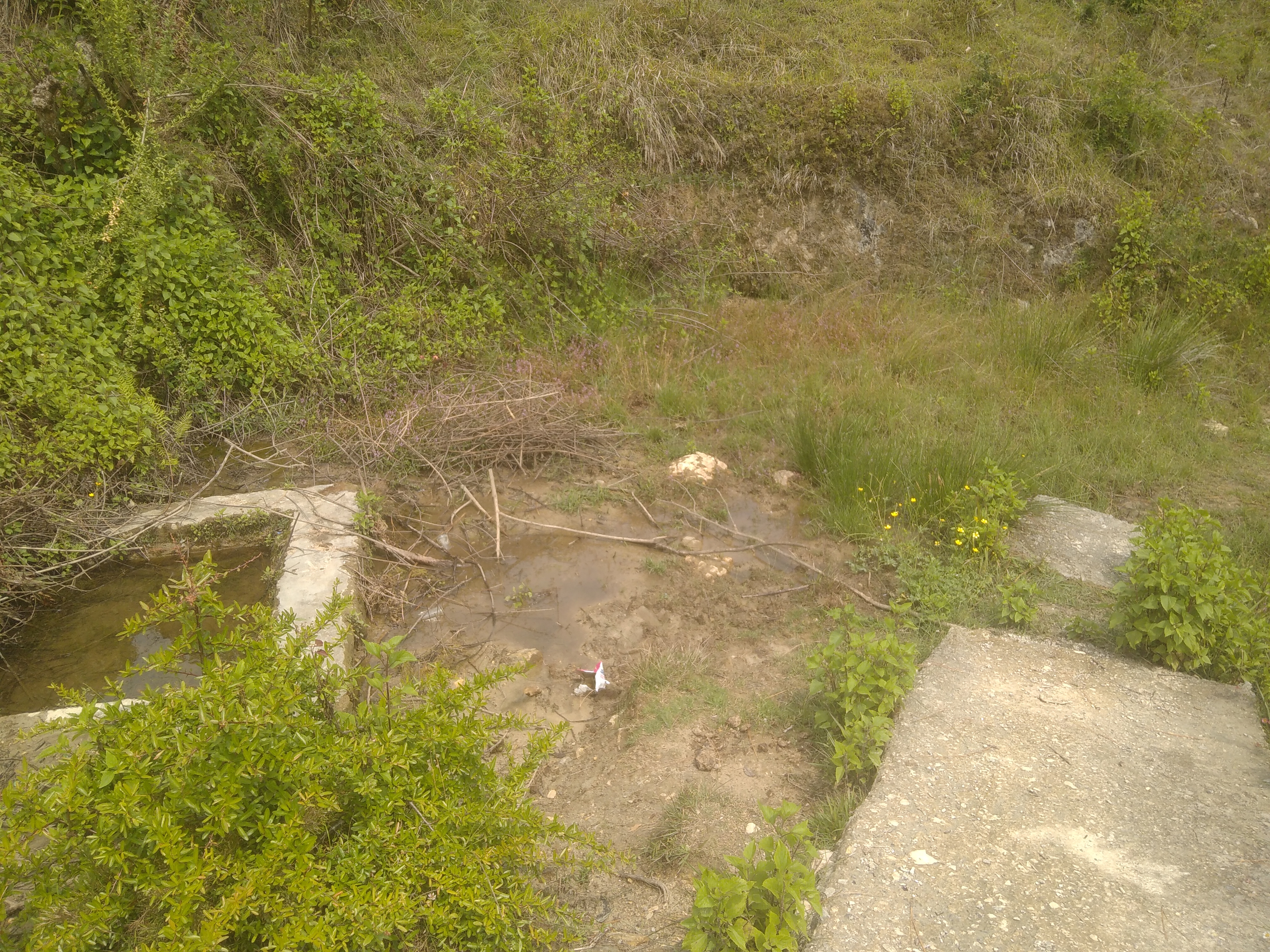 Water Source
