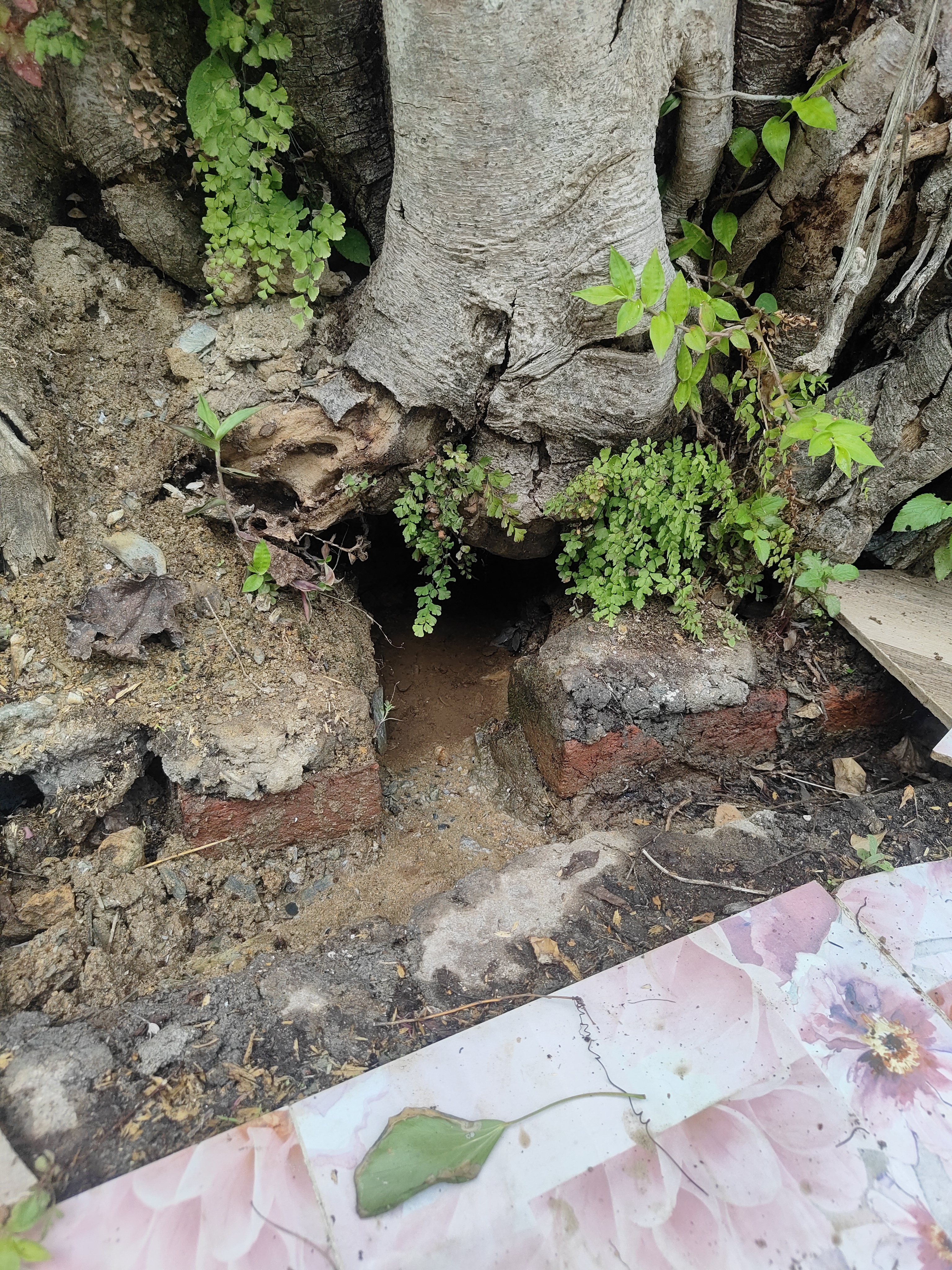 Water Source