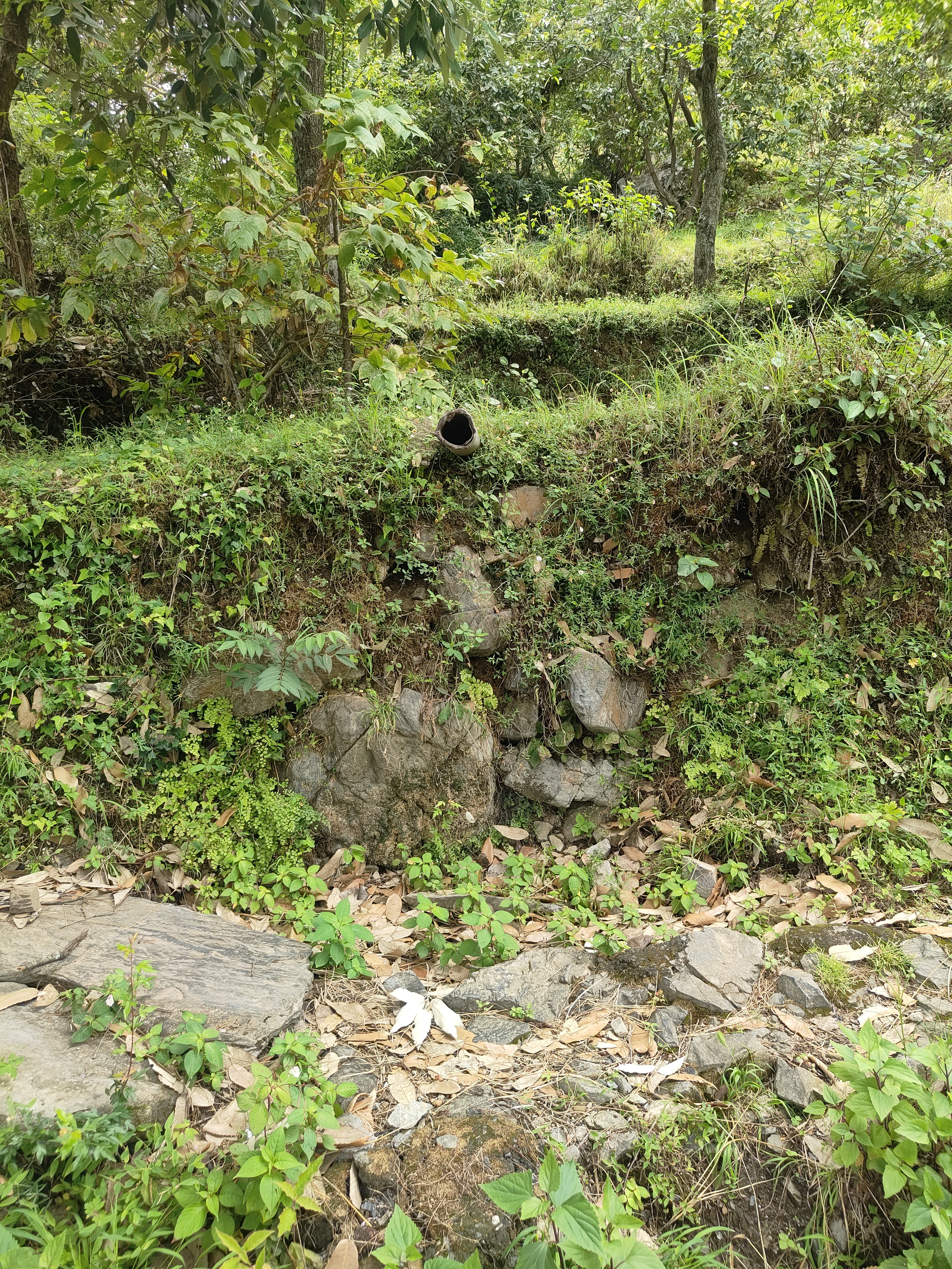 Water Source