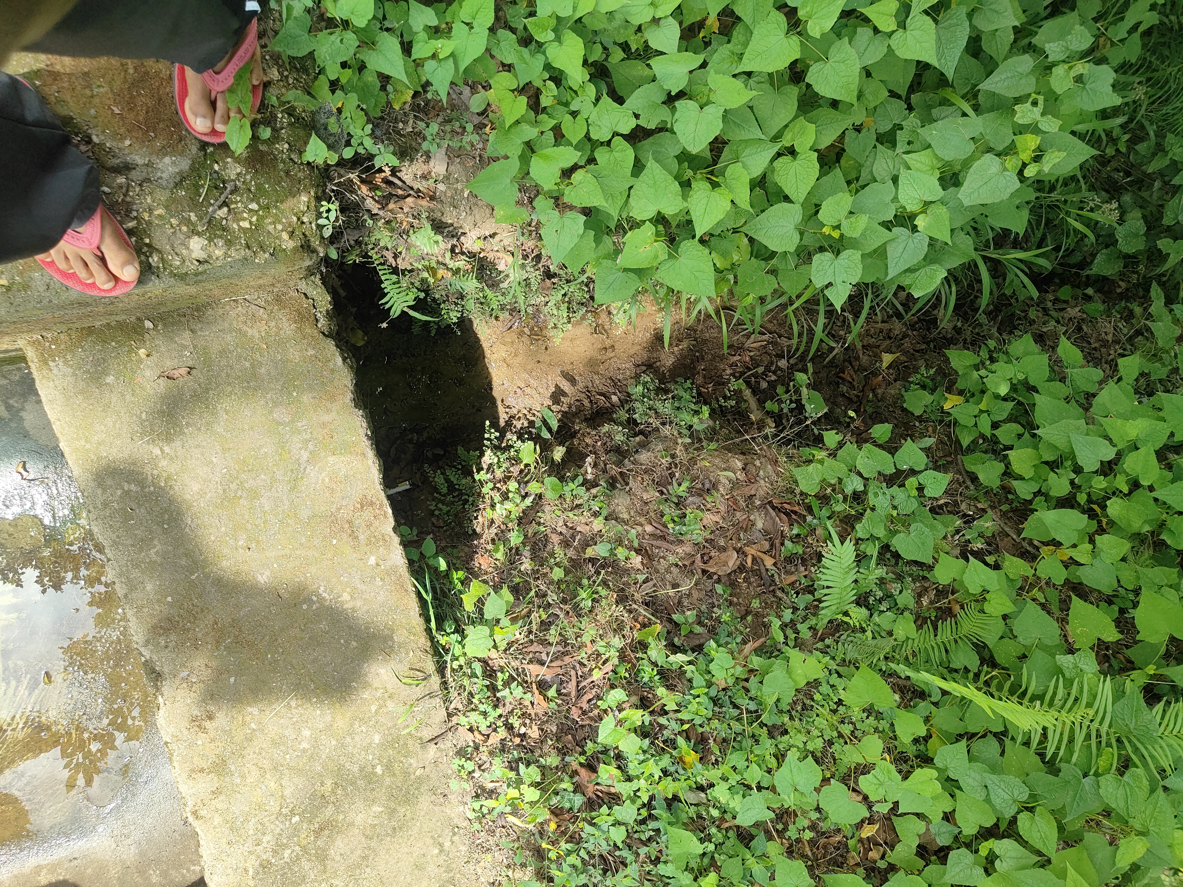 Water Source