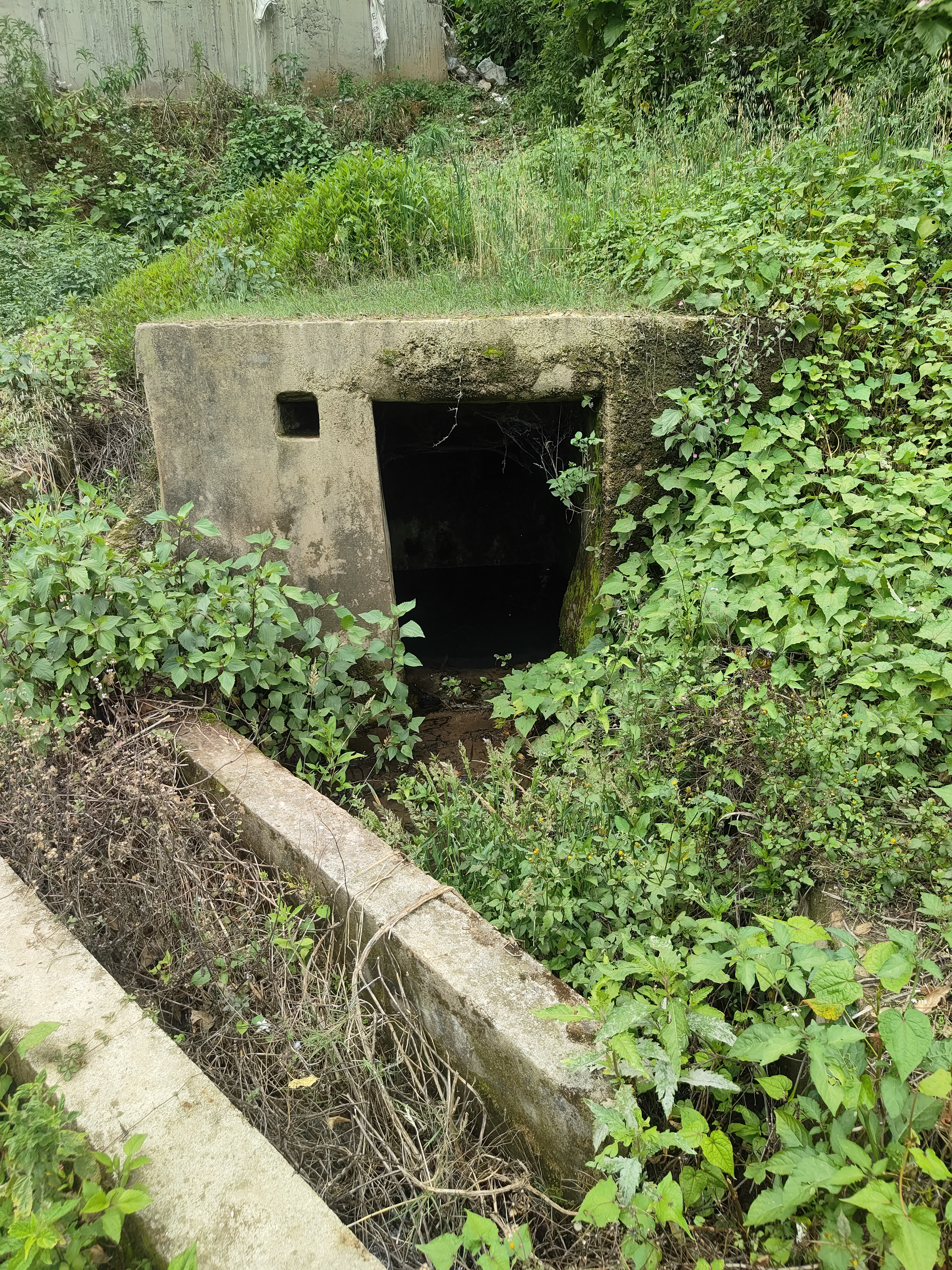 Water Source